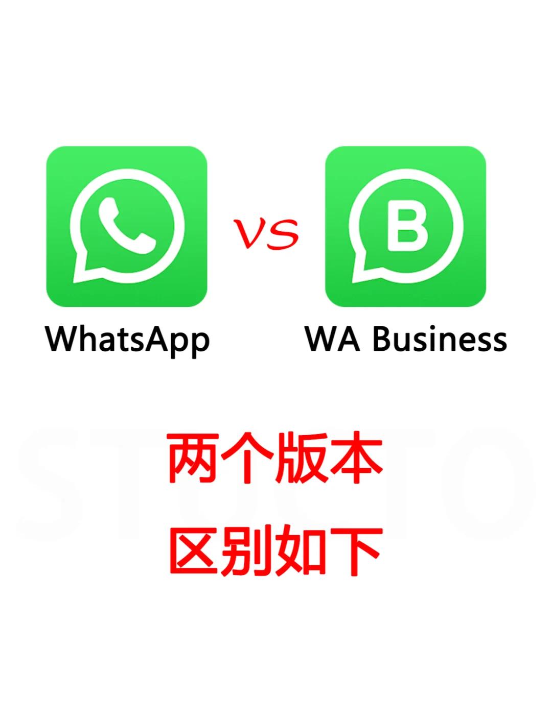 WhatsApp群组公告與语音