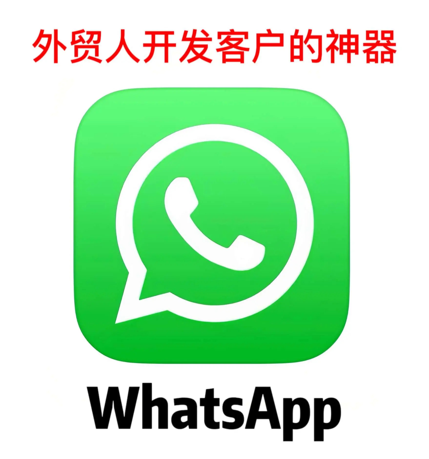 WhatsApp网页版聊天界面